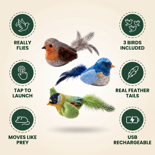 Wingmate - image 2